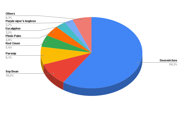 Pie Chart of Honey Composition